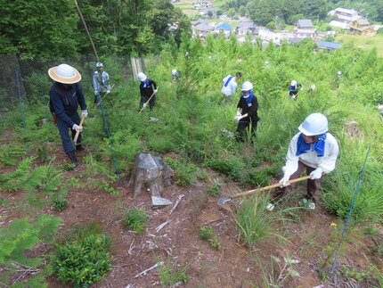 toei1IMG_9086.JPG